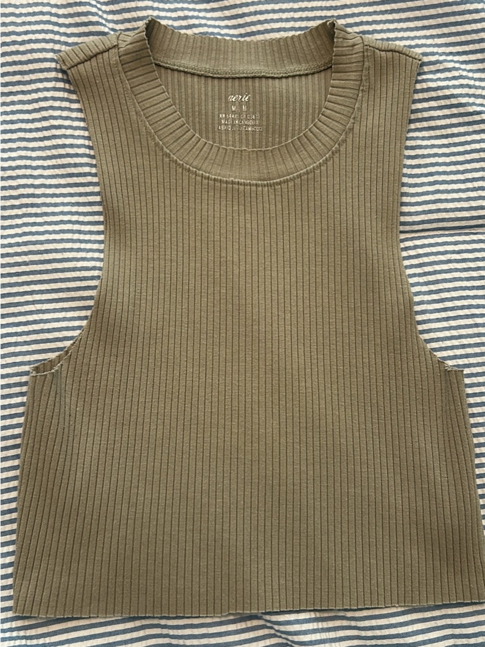 Aerie Cropped Top